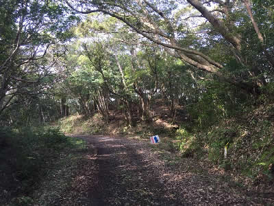 在宅歯科医療への取り組み